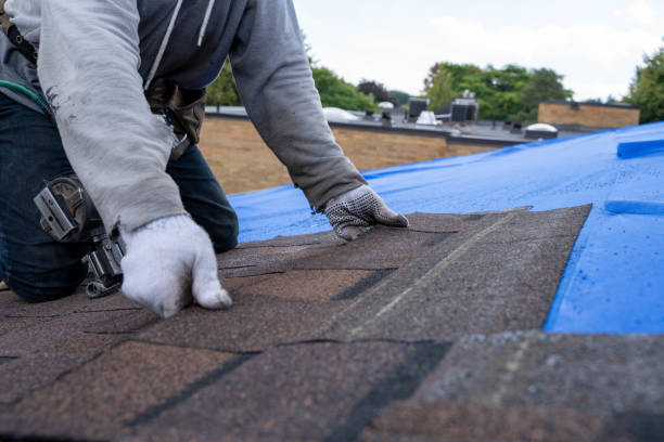 Professional Roofing Contractor in Des Arc, AR